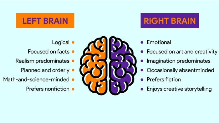 (SIGNAL/PRO/ELITE) Right-Brain Alpha: Why Intuition and Narrative Are the Real Edge in the Age of AI Trading